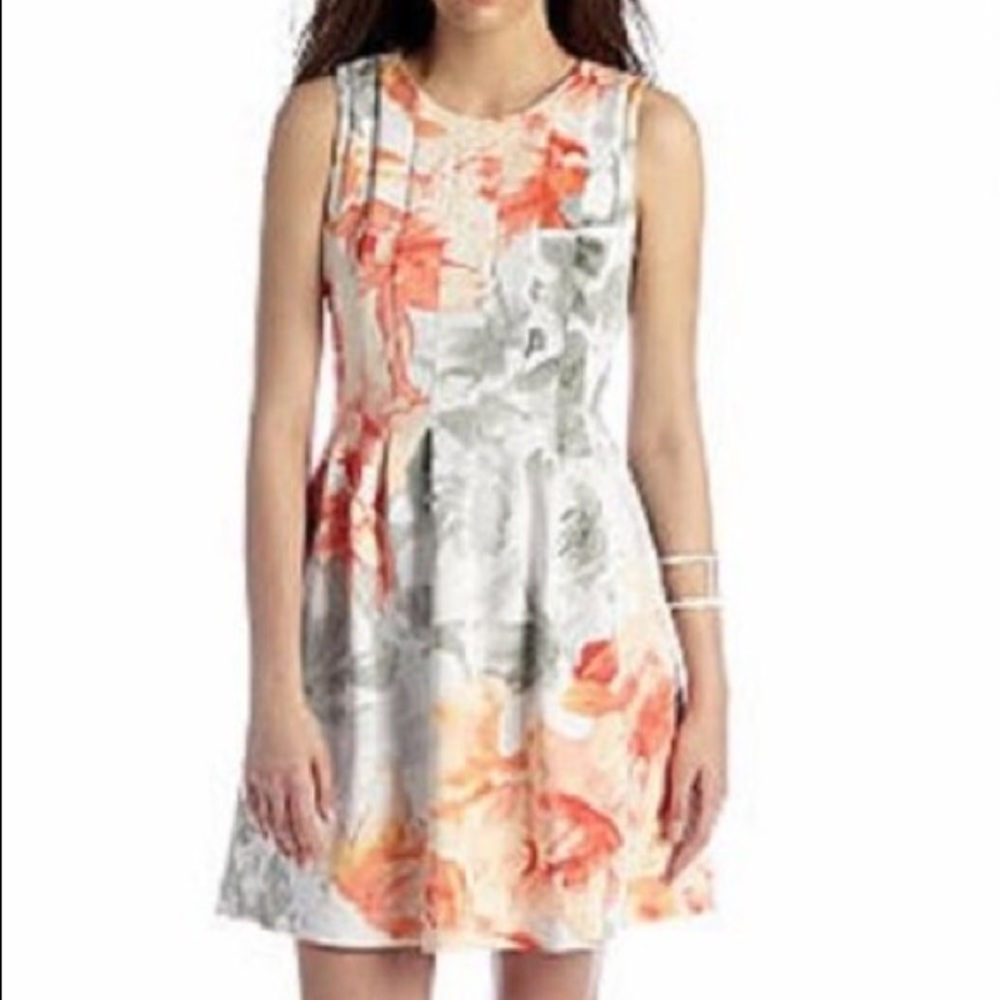 Vinde Camuto Scuba Sleeveless Printed Dress